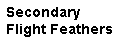 Drag 3