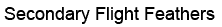 Drag 3